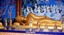 Big Budda