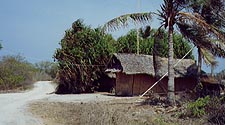 Gili Islands