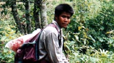 Nopi the guide