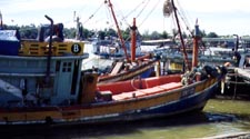 Boats