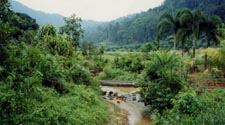 Khota Tinggi