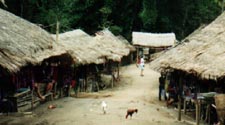 Tribal village